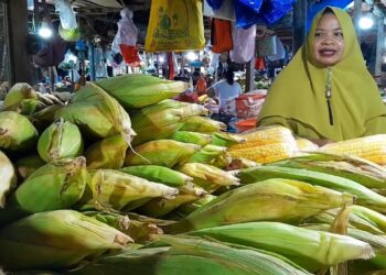 Berkah Tahun Baru Bagi Pedagang Jagung, Omset Naik Dua Kali Lipat