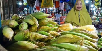 Berkah Tahun Baru Bagi Pedagang Jagung, Omset Naik Dua Kali Lipat