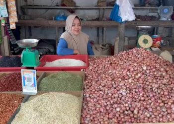 Harga Bawang dan Ikan Mulai Naik Jelang Nataru, Berikut Hasil Sidak di Pasar