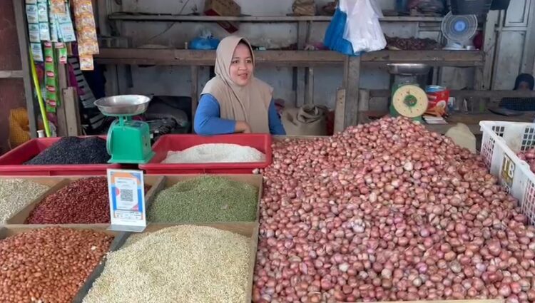 Harga Bawang dan Ikan Mulai Naik Jelang Nataru, Berikut Hasil Sidak di Pasar