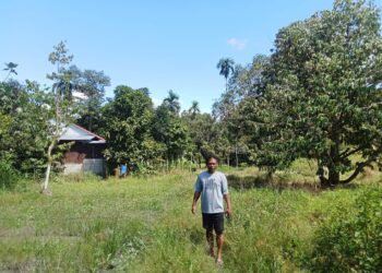 Merasa Lahan Seluas 4,8 Hektar Diserobot, Warga di Karang Harapan Minta Kejelasan BPN