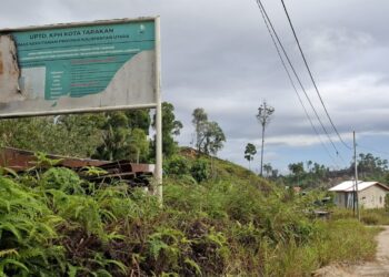 Hutan Lindung Terancam Perluasan Pemukiman, KPH Tarakan Tegaskan Akan Bertindak