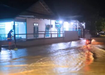 Kerusakan Hutan Lindung: Akar Masalah Banjir yang Melanda Tarakan