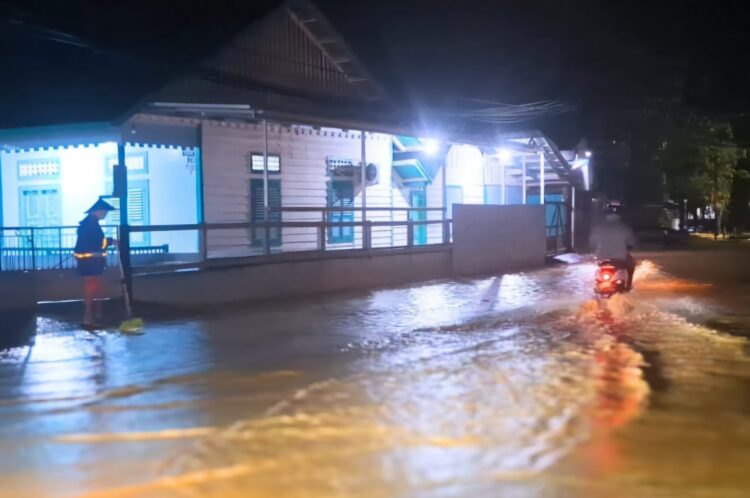 Kerusakan Hutan Lindung: Akar Masalah Banjir yang Melanda Tarakan