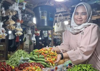 Mana Lebih Berkuaiitas dan Murah? Cabai Rawit Lokal atau Luar Daerah