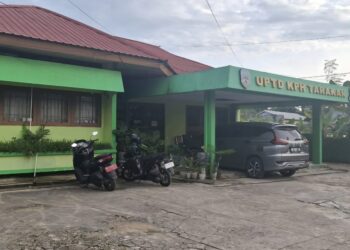 Pembalakan Liar di Desa Liagu Makin Marak, Polhut KPH Tarakan Ungkap Ini