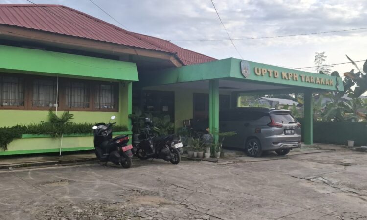 Pembalakan Liar di Desa Liagu Makin Marak, Polhut KPH Tarakan Ungkap Ini