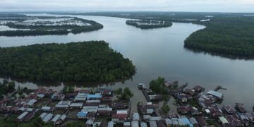 Penebangan Liar di Desa Liagu: Ketua LPHD Bantah Ada Kayu Meranti Ilegal