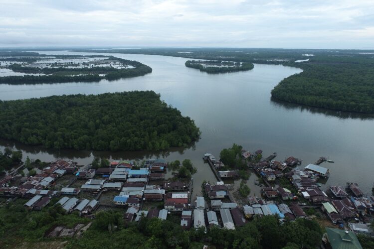 Penebangan Liar di Desa Liagu: Ketua LPHD Bantah Ada Kayu Meranti Ilegal