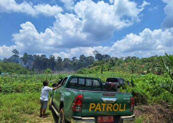 Dinilai Lambat Suplay Barang dan Bongkar Muat, Ini Penjelasan GM PT Pelindo Petik Kemas Tarakan