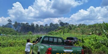 Dinilai Lambat Suplay Barang dan Bongkar Muat, Ini Penjelasan GM PT Pelindo Petik Kemas Tarakan