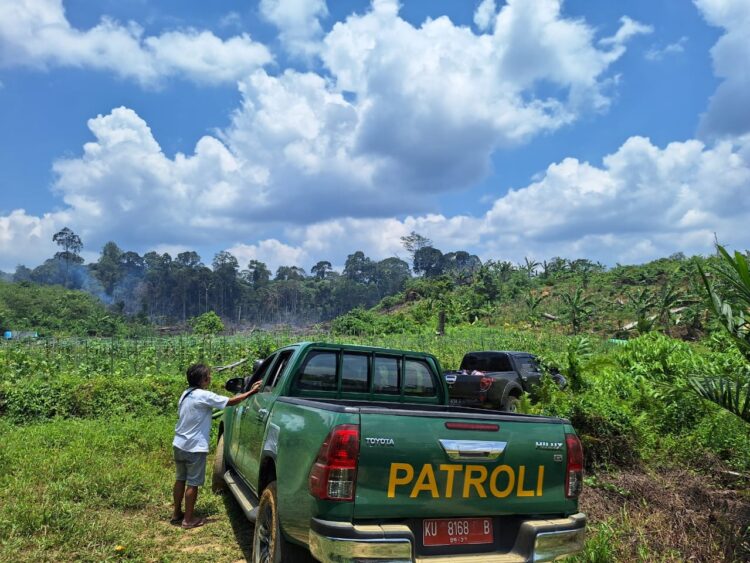 Dinilai Lambat Suplay Barang dan Bongkar Muat, Ini Penjelasan GM PT Pelindo Petik Kemas Tarakan