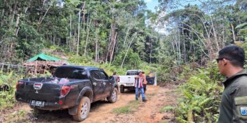Soal Perambahan Hutan Adat Punan Batu Benau, Kabid Perlindungan dan KSDAE Kaltara Ungkap Ini