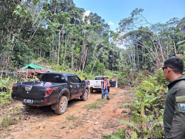 Soal Perambahan Hutan Adat Punan Batu Benau, Kabid Perlindungan dan KSDAE Kaltara Ungkap Ini