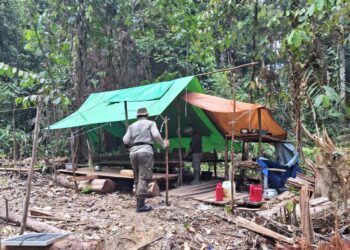 Tak Ada Kepastian dari Kementerian Kehutanan Soal Penetapan Hutan Adat Punan Batu Benau
