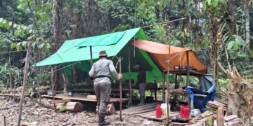 Tak Ada Kepastian dari Kementerian Kehutanan Soal Penetapan Hutan Adat Punan Batu Benau