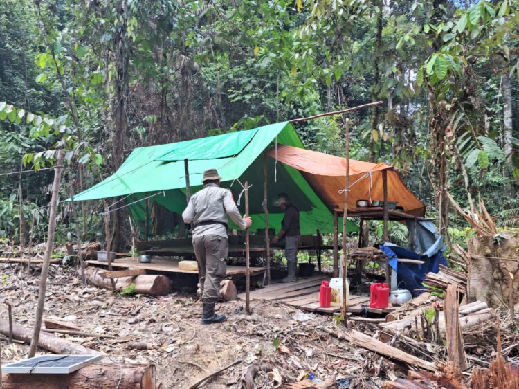 Tak Ada Kepastian dari Kementerian Kehutanan Soal Penetapan Hutan Adat Punan Batu Benau