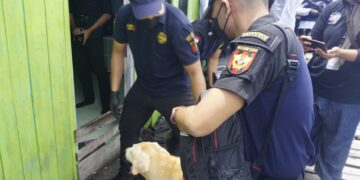 BNNP Kaltara Geledah Rumah Tersangka Kurir Sabu 25 Kg