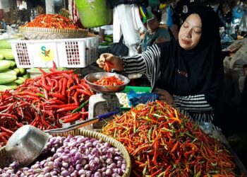 Andalkan Pasokan dari Luar Daerah, Harga Cabai Rawit Tembus Rp150 Ribu Perkilo
