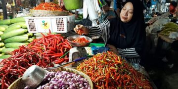 Andalkan Pasokan dari Luar Daerah, Harga Cabai Rawit Tembus Rp150 Ribu Perkilo