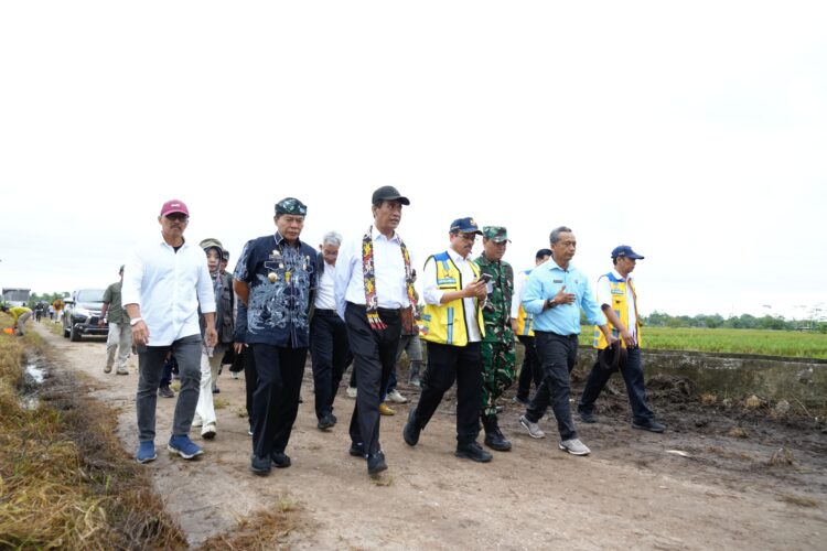 Mentan RI Ajak Petani Kaltara Tingkatkan Indeks Pertanaman dan Irigasi