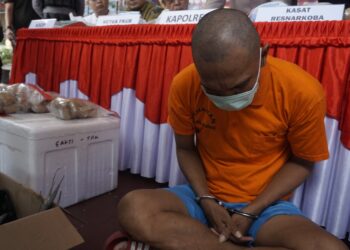 Selundupkan 3,2 Kg Sabu dalam Perut Ikan, Pelaku Terancam 20 Tahun Penjara!