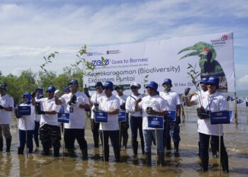 Tanam 5.000 Mangrove di Tarakan, PT Telkom Dukung Pelestarian Lingkungan dan Target Nol Emisi 2060