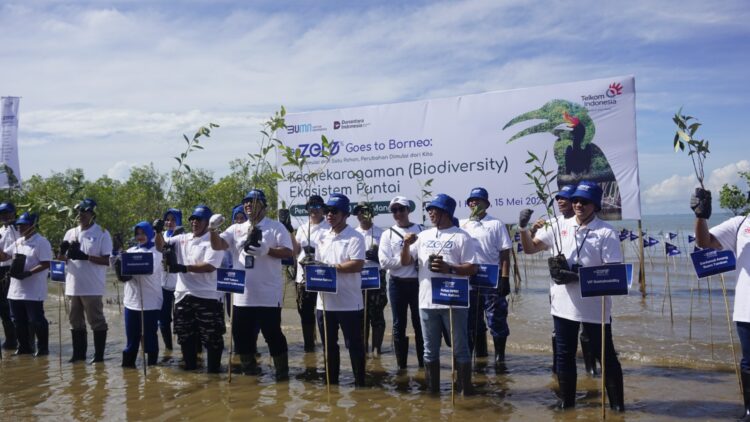 Tanam 5.000 Mangrove di Tarakan, PT Telkom Dukung Pelestarian Lingkungan dan Target Nol Emisi 2060