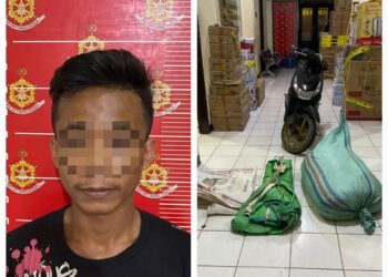 Terdesak Judi Online, Pria Ini Curi 200 Karung Rumput Laut Tetangganya