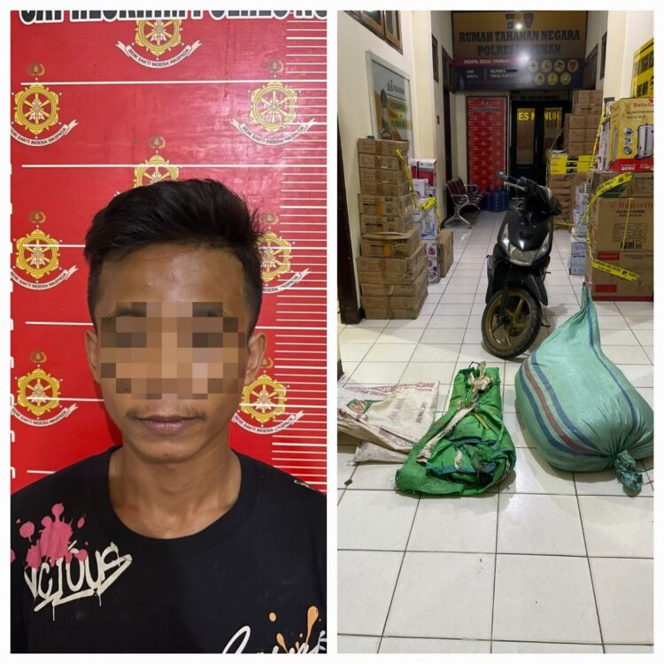 Terdesak Judi Online, Pria Ini Curi 200 Karung Rumput Laut Tetangganya