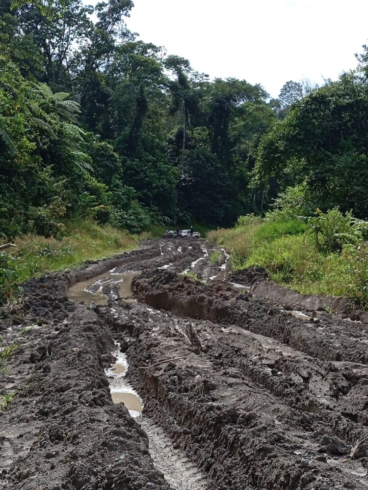 Jalan Rusak Parah, Bantuan Musibah Banjir Tak Bisa Tembus ke Krayan Selatan