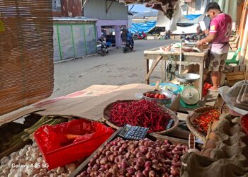 Kapal Swasta Tak Beroperasi, Harga Sembako Menggila Jelang Lebaran