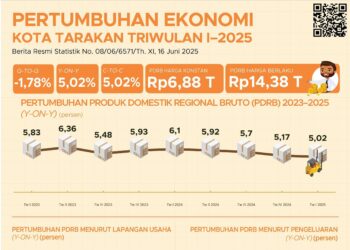 Tumbuh di Atas Rata-rata Provinsi, Sektor Jasa Dongkrak Ekonomi Tarakan 5,02% di Triwulan I