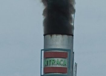 Warga Keluhkan Asap Hitam PT Intracawood Manufacturing, HRD Sebut Akibat Kayu yang Dibakar Masih Basah