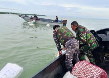 Speedboat Tenggelam di Perairan Sebatik, Diselamatkan TNI AL