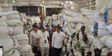 Perusda NSP Tanggapi Keresahan Petani, 50 Ton Rumput Laut Siap Ekspor ke Belgia