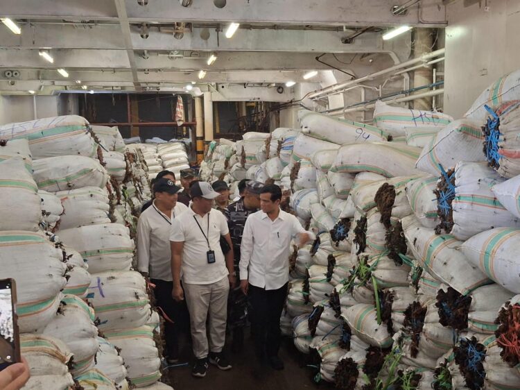 Perusda NSP Tanggapi Keresahan Petani, 50 Ton Rumput Laut Siap Ekspor ke Belgia