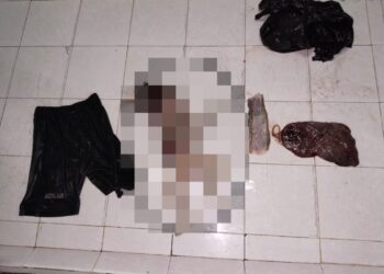 Bayi Tak Bernyawa Ditemukan di Bawah Jemuran Rumput Laut Bikin Heboh Warga Sedadap, Anak Siapa?