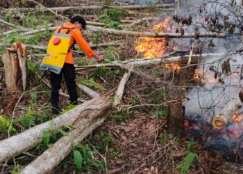 Kebakaran Lahan di Nunukan Selatan Diduga Akibat Pembukaan Lahan, 2 Hektare Ludes Terbakar