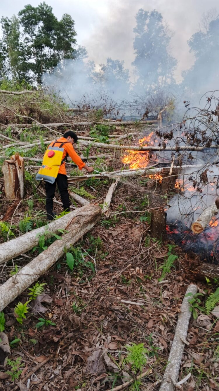 Kebakaran Lahan di Nunukan Selatan Diduga Akibat Pembukaan Lahan, 2 Hektare Ludes Terbakar