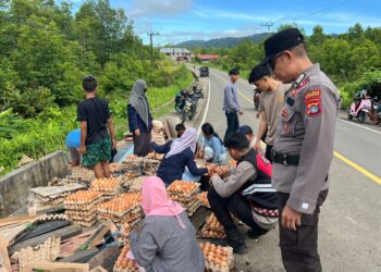Tak Mampu Menanjak, Pikap Masuk Parit