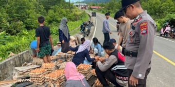 Tak Mampu Menanjak, Pikap Masuk Parit