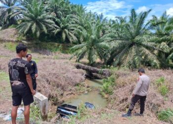 Pikap Terjun ke Sungai, Satu Penumpang Tewas