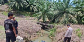 Pikap Terjun ke Sungai, Satu Penumpang Tewas