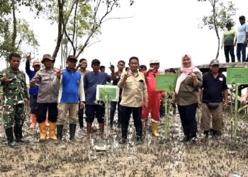 BPDAS Mahakam Berau dan Komisi IV DPR RI Gelar Aksi Penanaman Mangrove di Tarakan