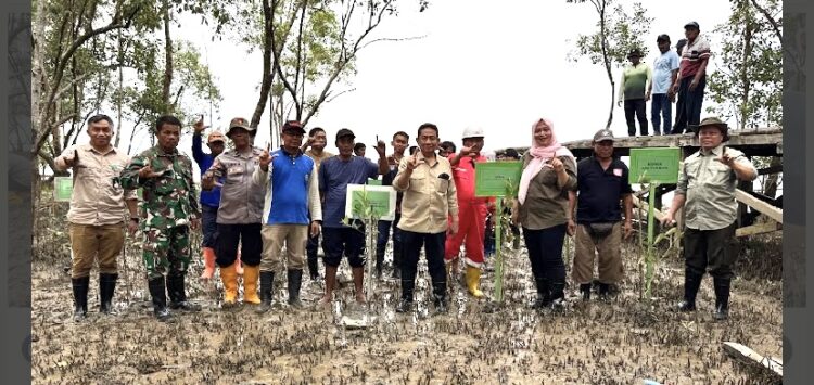 BPDAS Mahakam Berau dan Komisi IV DPR RI Gelar Aksi Penanaman Mangrove di Tarakan