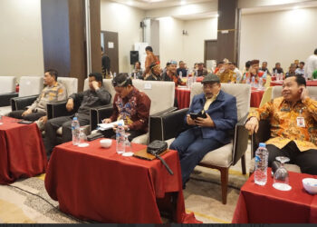 Wagub Dorong Pembentukan DOB, Wujudkan Pemerataan Pembangunan di Wilayah Perbatasan