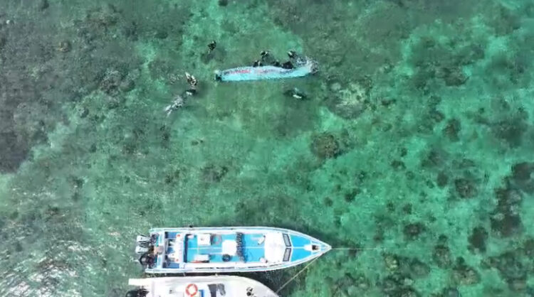 Kaltara Memiliki Kekayaan Laut yang Menawan Terutama Buat Snorkeling dan Diving