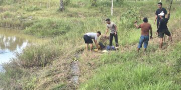 Personel Polres Tarakan Selamatkan Seorang Ibu Paruh Baya dari Serangan Buaya di Waduk Persemaian