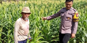 Dukung Program Ketahanan Pangan, Bhabinkamtibmas Polsek Tarakan Timur Laksanakan Patroli Dialogis